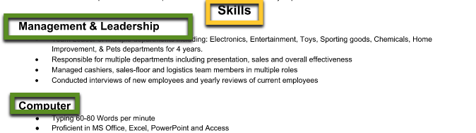 screenshot of skills section resume