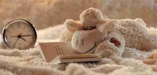 stuffed animal reading book, cute