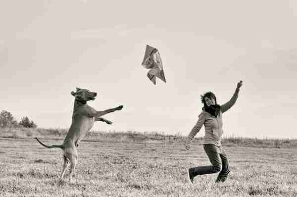 flying kite, man and dog