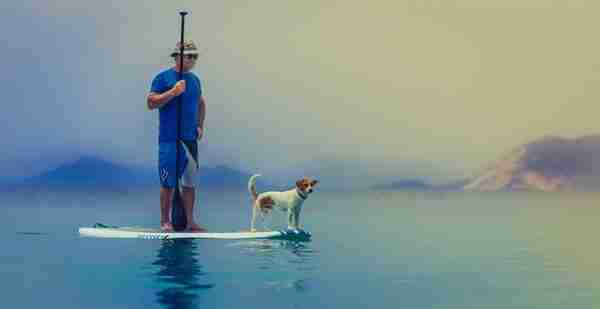 paddleboarding_with_dog, exercise
