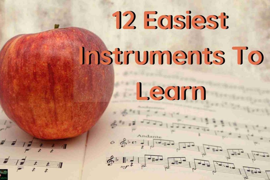 "12 easiest instruments to learn"