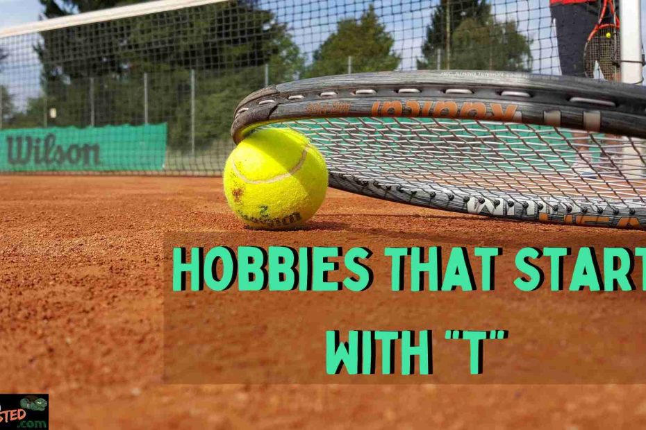Hobbies that Start with T, tennis ball and tennis court