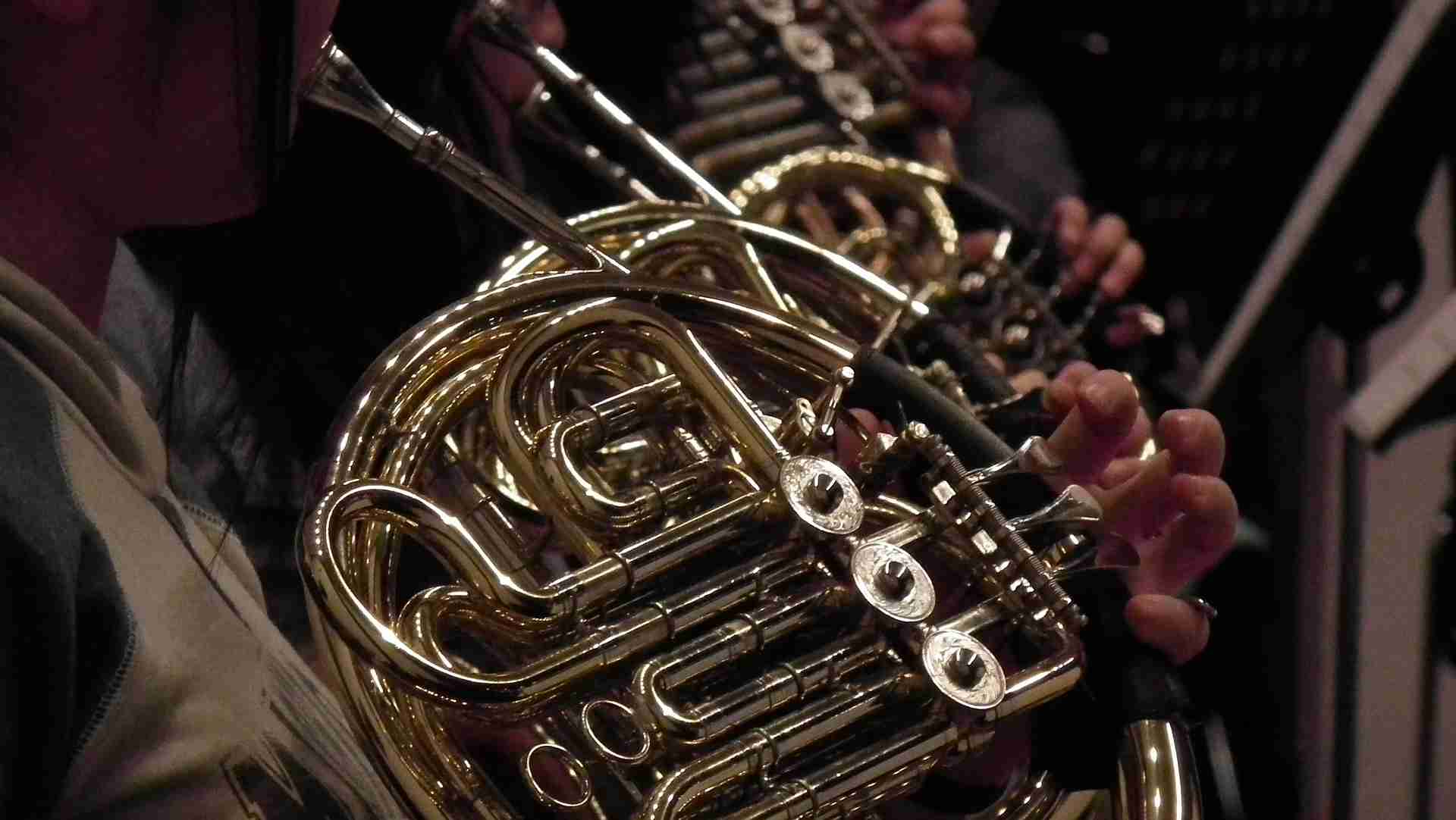 brass instrument, french horn