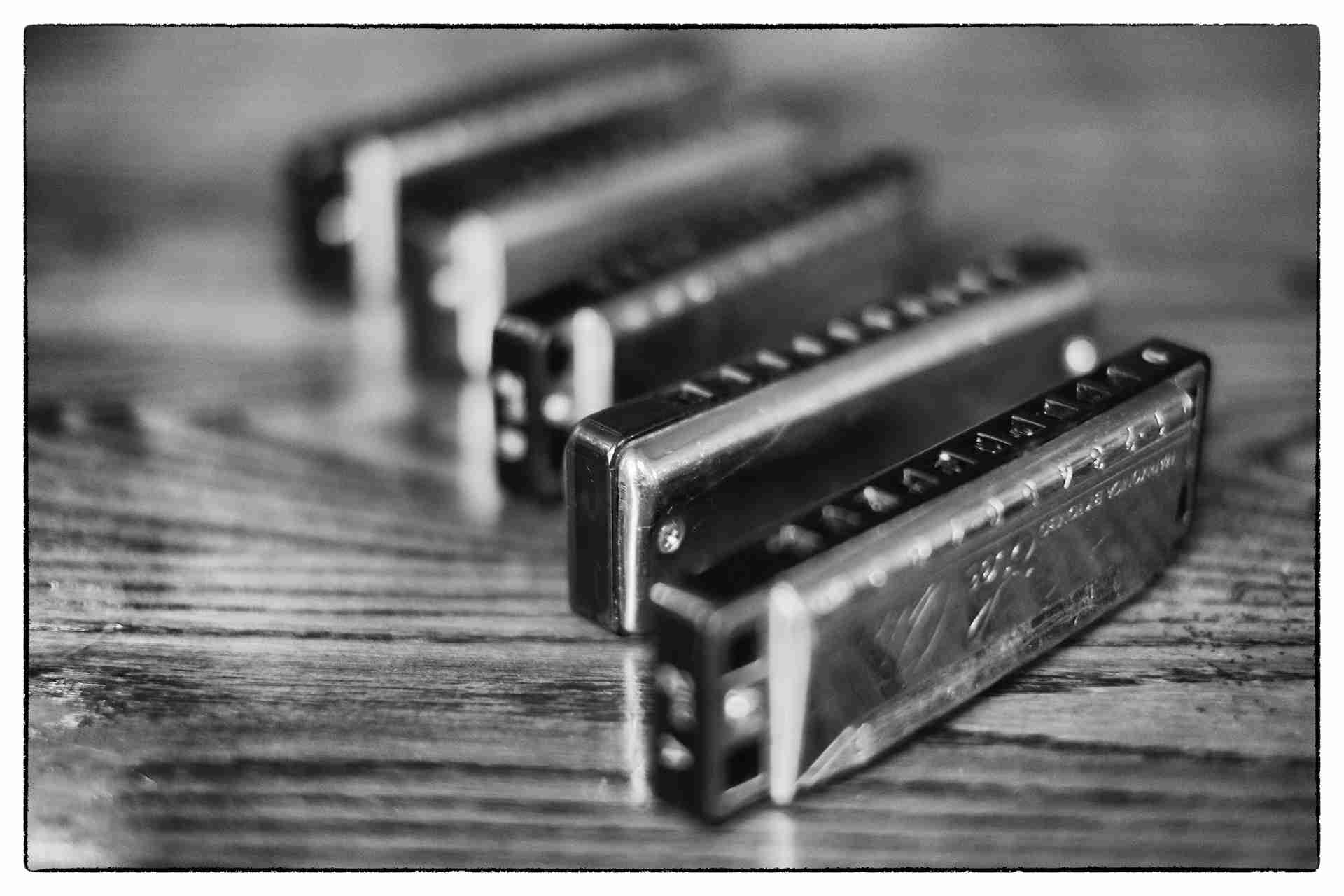 3 harmonicas, black and white photo