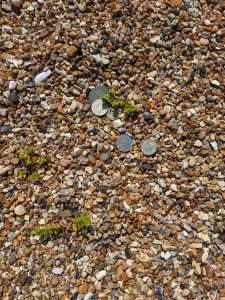 coins in sand, beach combing