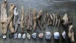 beach treasures, driftwood and rocks, beachcombing