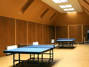 multiple ping pong tables