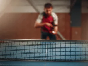 table tennis net, table
